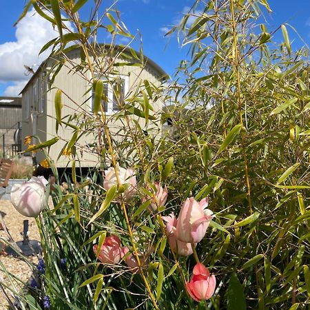 The Shepherd'S Hut Mixbury Bagian luar foto